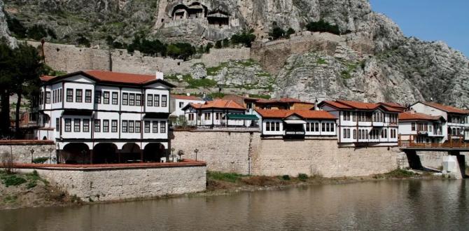 Amasya’dan Yurtdışına 16,4 Milyon Dolarlık İhracat!