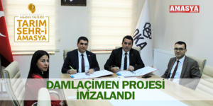 DAMLAÇİMEN PROJESİ İMZALANDI