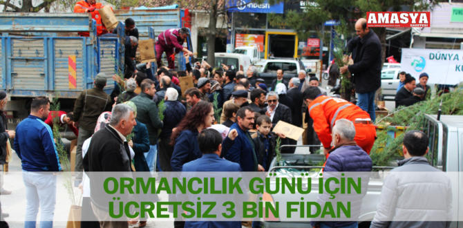 ORMANCILIK GÜNÜ İÇİN ÜCRETSİZ 3 BİN FİDAN