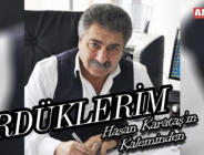 GÖRDÜKLERİM